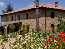 farmhouse holiday b&b in Tuscany Italy