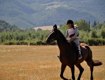 horse trekking and riding holiday Tuscany Italy