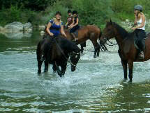 Pferd reiten im Urlaub in Italien bei Volterra Toskana